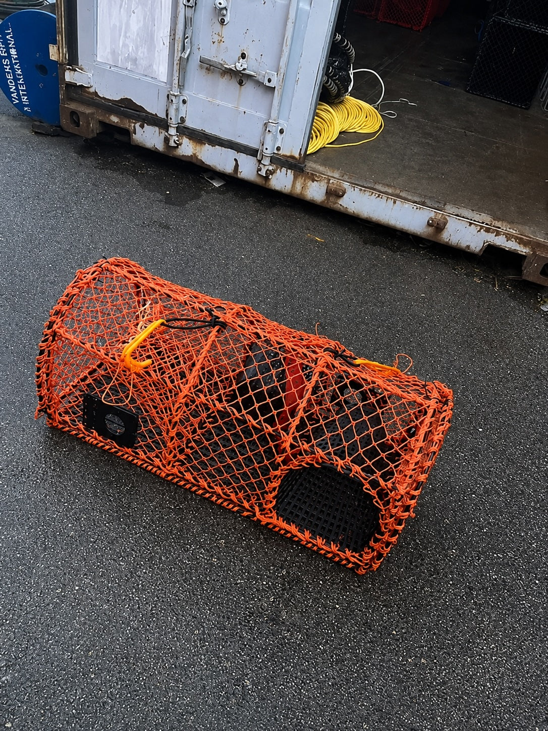Lette hummerteiner / krabbeteiner type skotteteiner – oransje