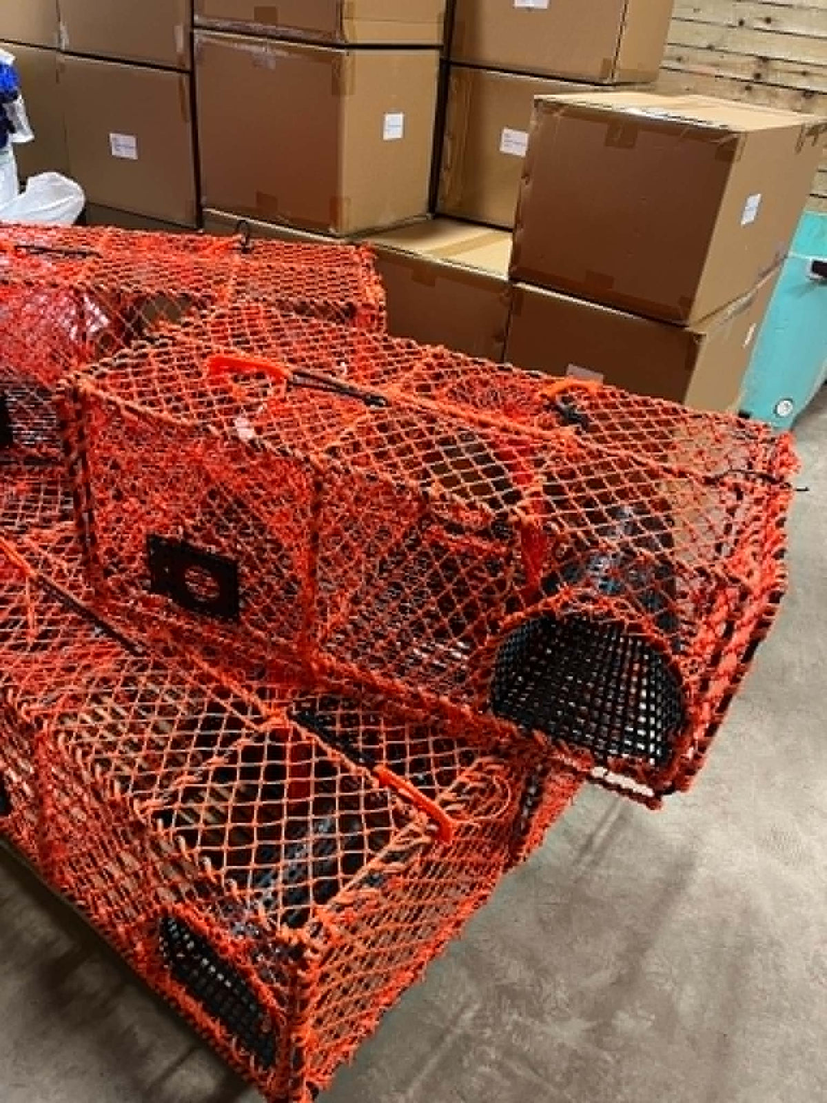 Kvalitets krabbeteine hummerteine 9kg